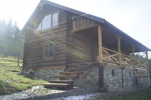Carpathian log cabin for sale