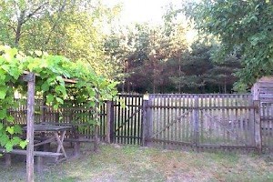 Garden gates to forest