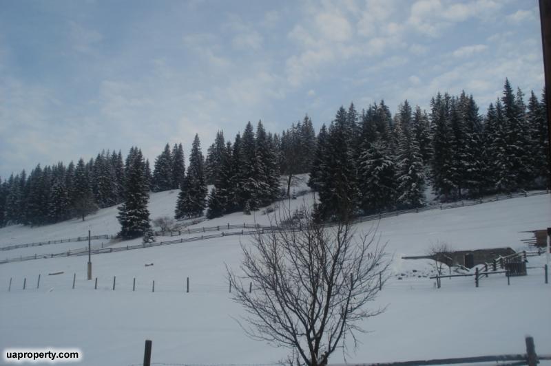 Carpathian log cabin for sale