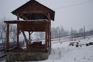 Gazebo in garden