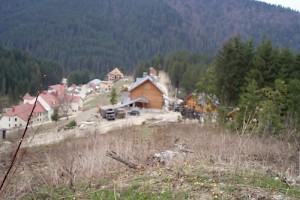 Nearby properties in Slavske