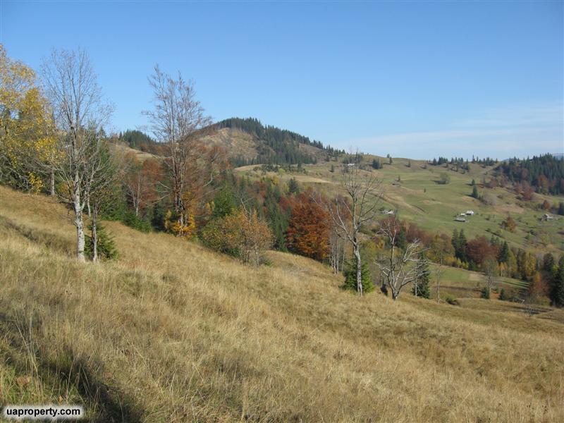 land plots near Bukovel, land plots for sale, Dragobrat, property for sale