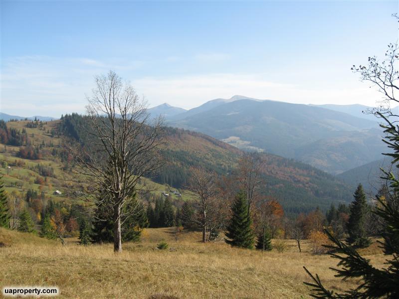 land plots near Bukovel, land plots for sale, Dragobrat, property for sale