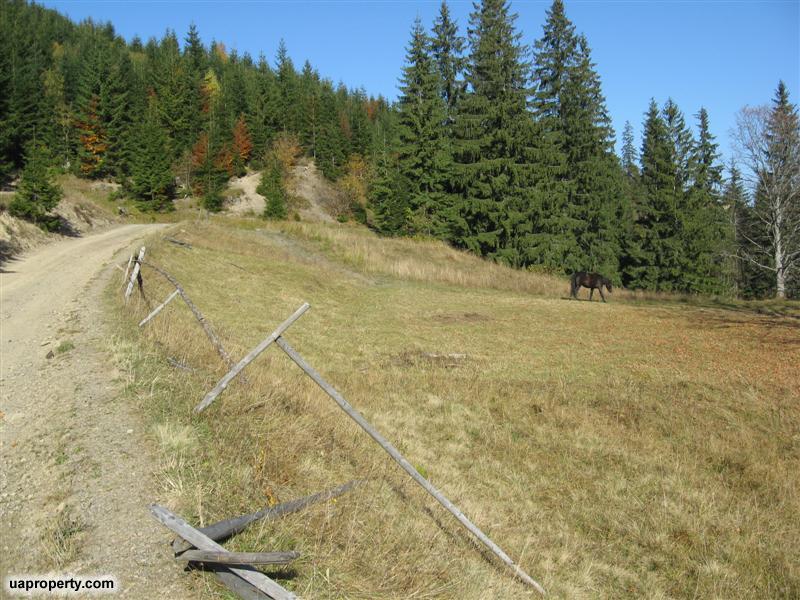 land plots near Bukovel, land plots for sale, Dragobrat, property for sale