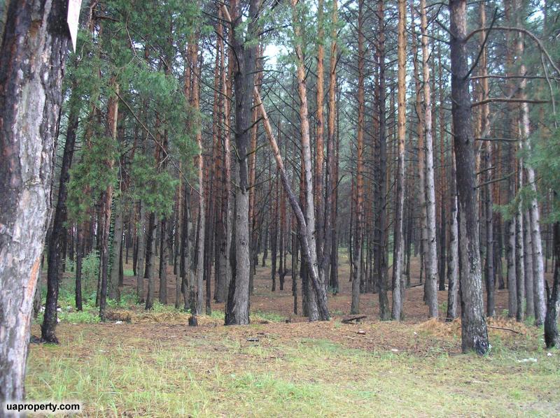 Porperty in Ukraine, Ukrainian real estate for sale